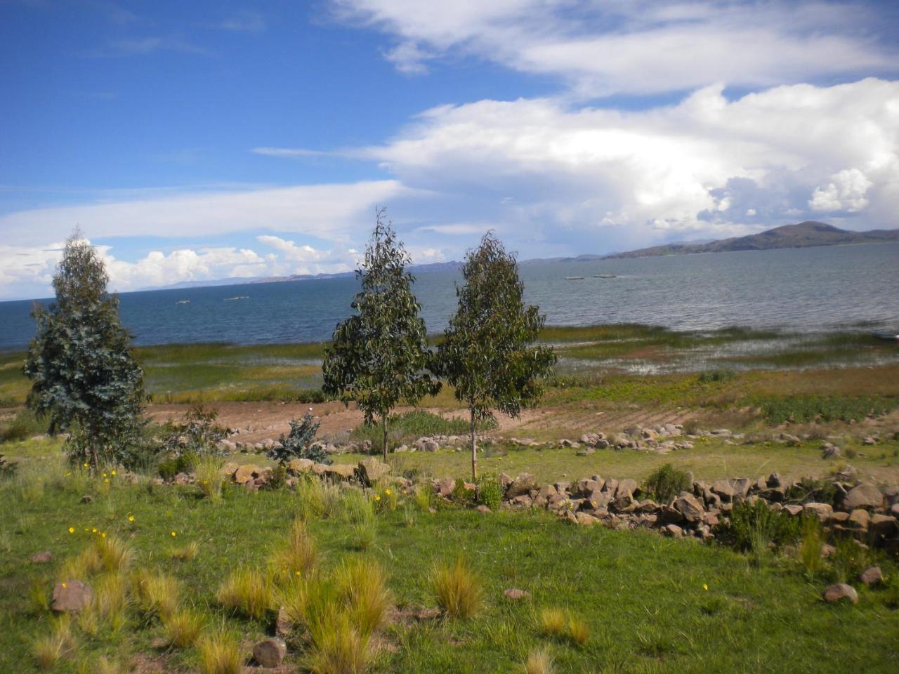 Kuntur Inn Puno Bagian luar foto